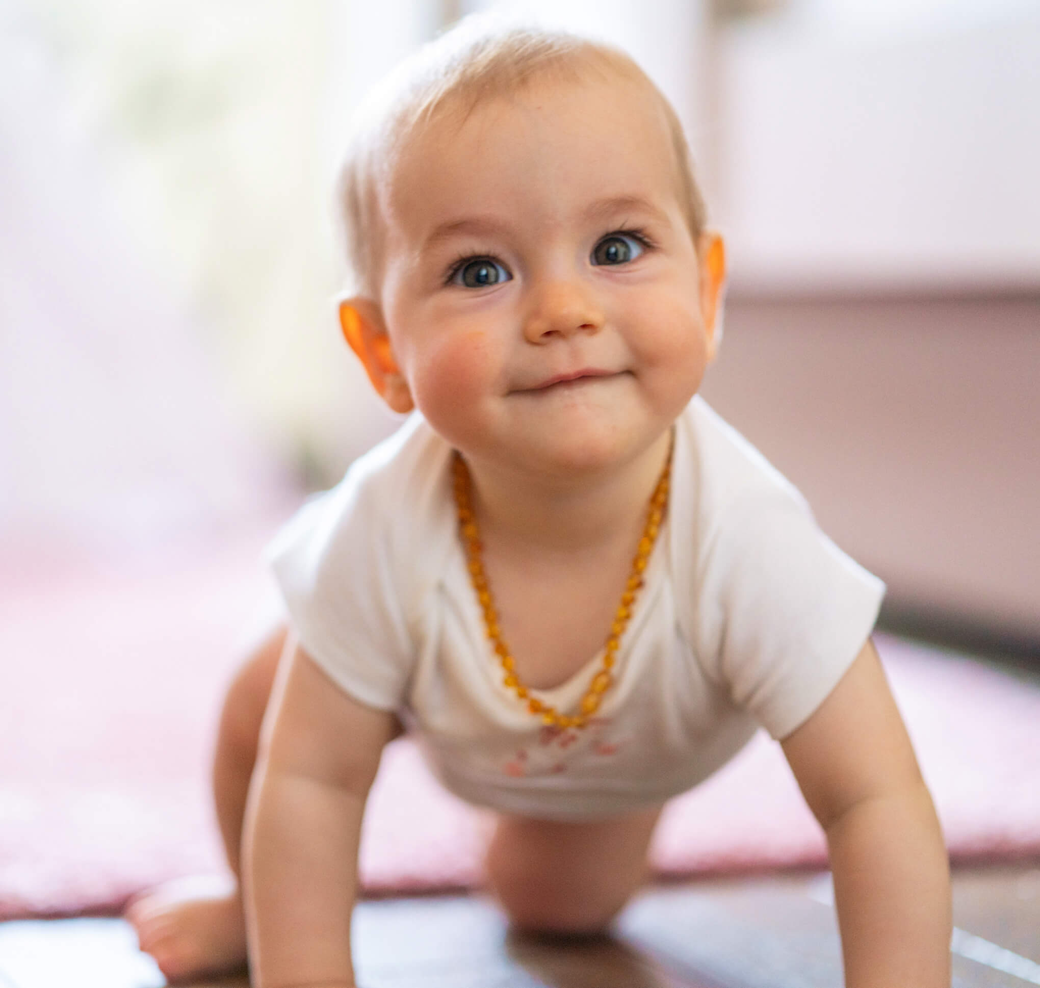 Parents login | West Coast Surrogacy